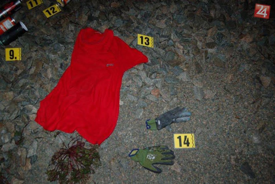 Sprejerom padol do očí vlakový vozeň