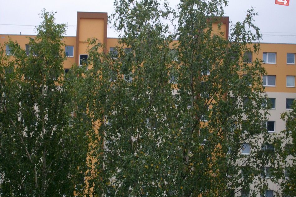 Spilovanie vrcholcov stromov v Rovni