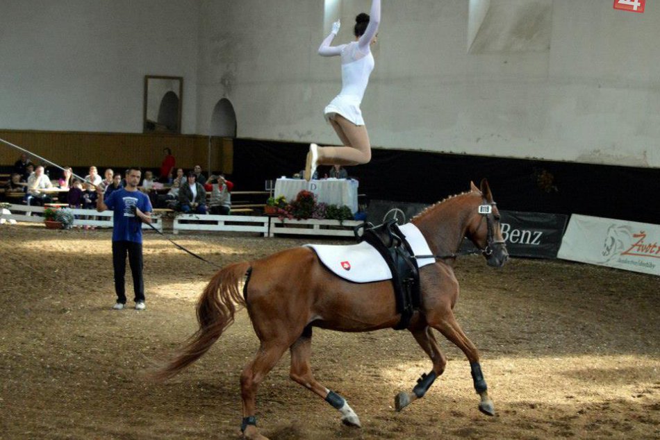 O krkolomné pózy nebola núdza: Národný žrebčín ožil voltížnym pohárom