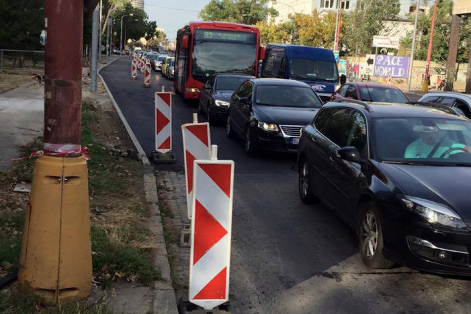 Kolóna kvôli spadnutému stromu