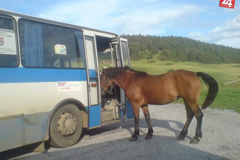 Vodiča SAD zmysel pre humor neopúšťa ani v práci: Sledujte tie FOTO :)