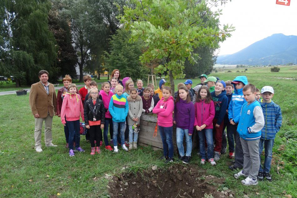 Revitalizácia parku Margity Dobrovičovej