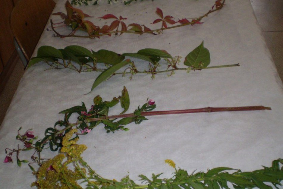 Gymnazisti zažili zaujímavú prednášku