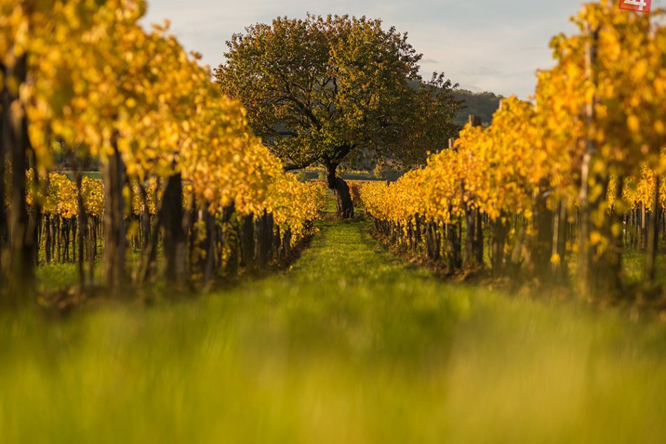 Fotografujeme jesennú krajinu