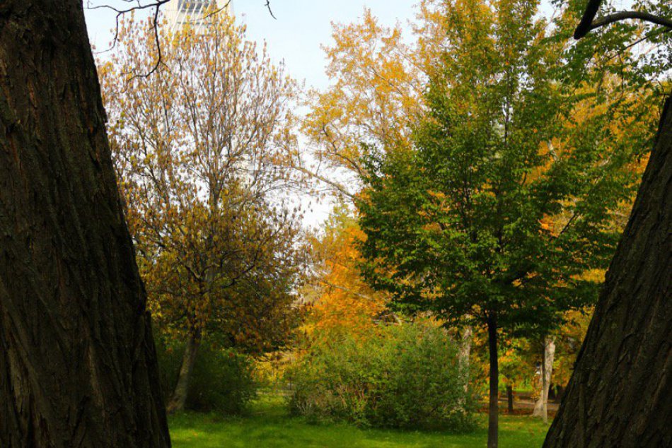 Jeseň v Sade Janka Kráľa