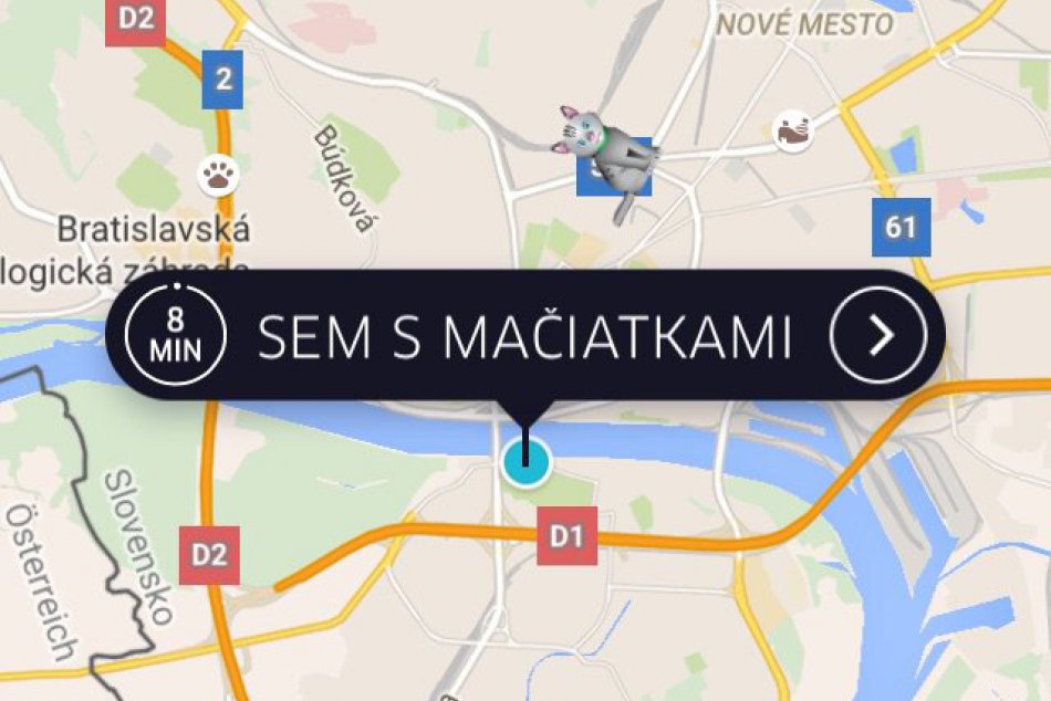 Uber mačiatka