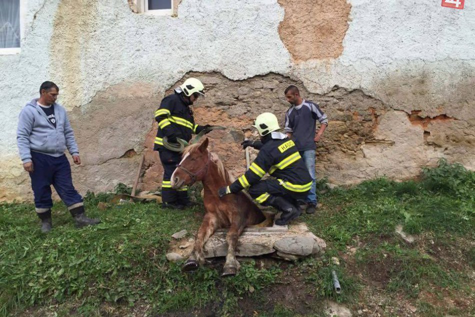 Obrazom: Kuriózna záchrana neďaleko nášho mesta