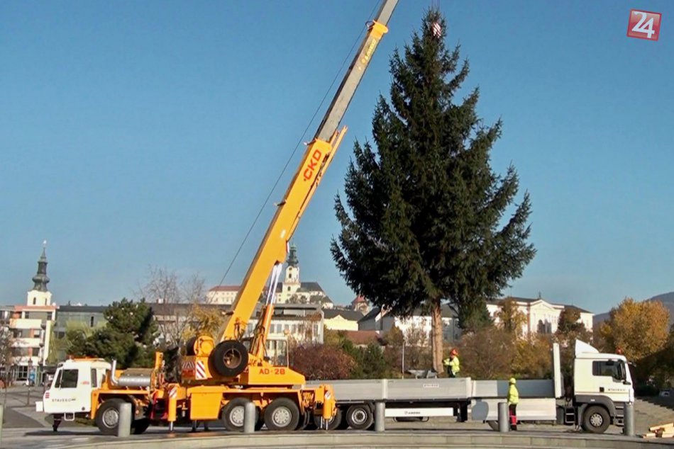 Obľúbené sviatky sa pomaly blížia: Na námestí už stojí vianočný stromček!