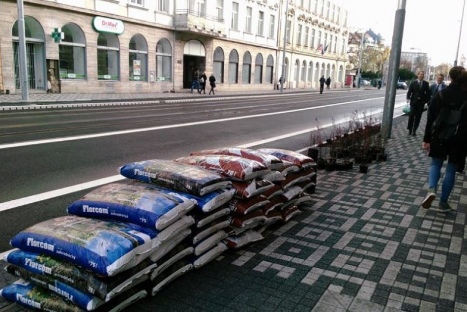 Nová zeleň na Štúrovej ulici