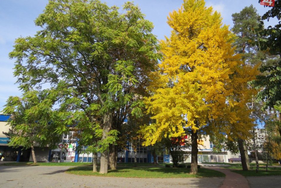 Stavby, čo v Michalovciach zostali po významnom architektovi