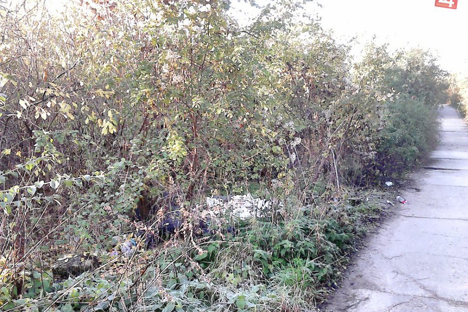 Neustály problém s odpadom: Vďaka envirofondu mesto odstraňuje čierne skládky!
