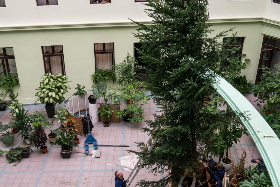 Vianočný stromček