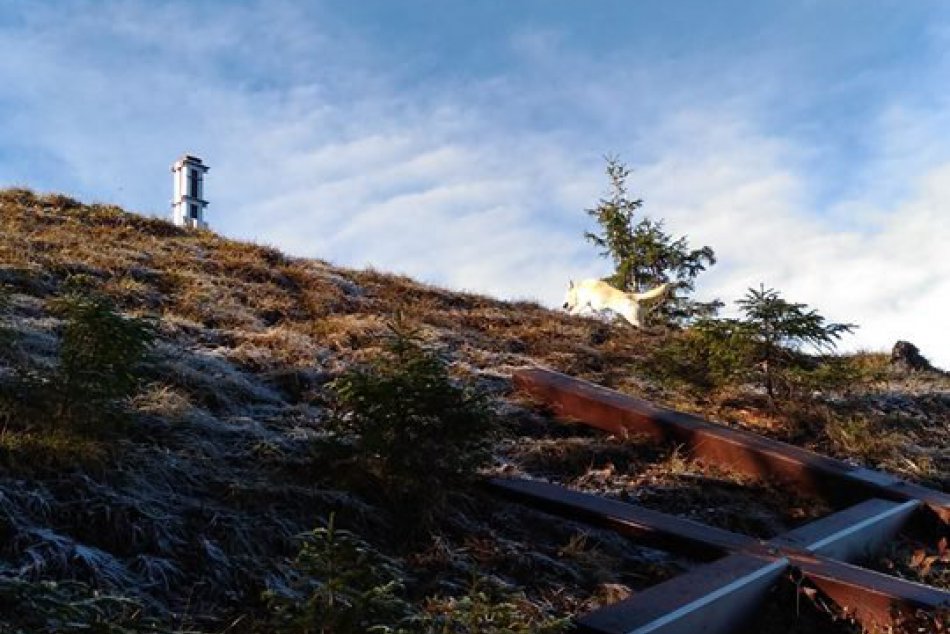 Spílený kríž nad Černovou