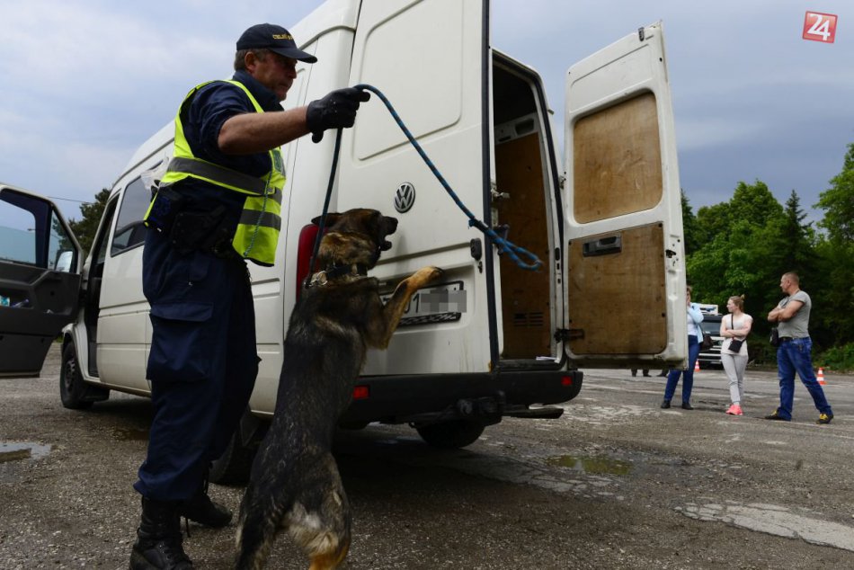 Policajná kynológia