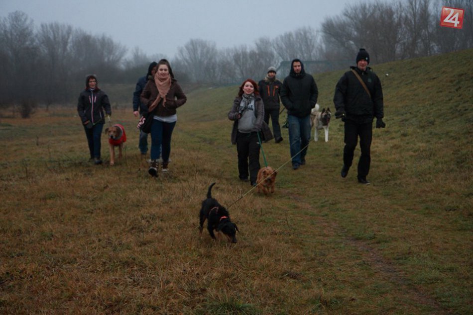 FOTO: Predvianočné stretnutie chlpáčov z Hlohovca a okolia