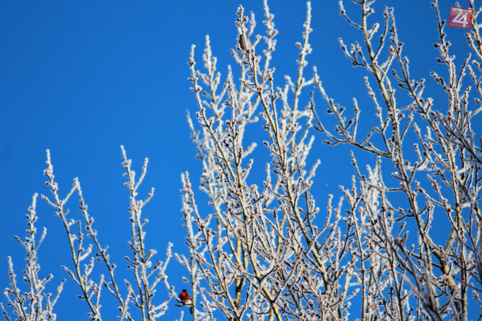 Mrazivá nádhera pod Tatrami: Stromy vyzerajú ako z rozprávky