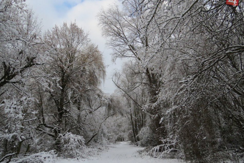 Šírava ako z rozprávky, zima došla aj sem :-)