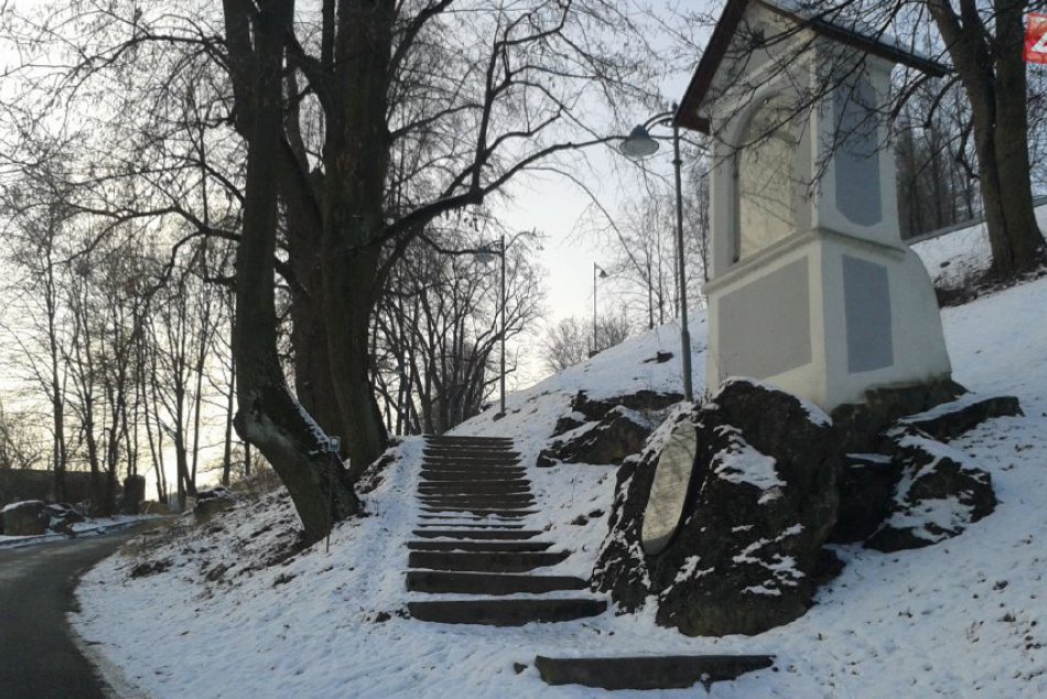 Najstaršie stromy v Bystrici: Lipová alej na kalvárii