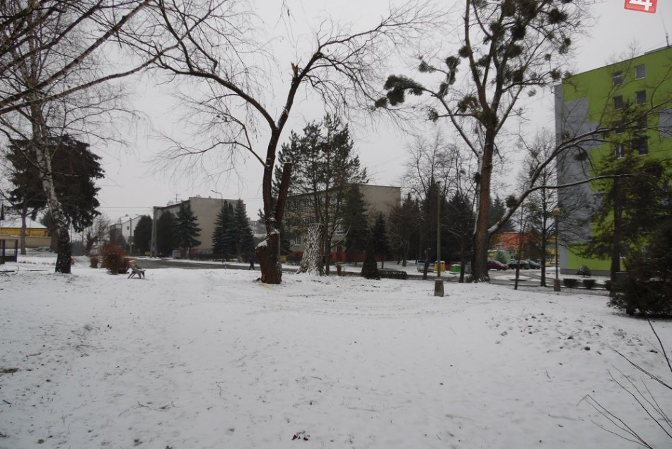 Výrub v humenskom Malom parku