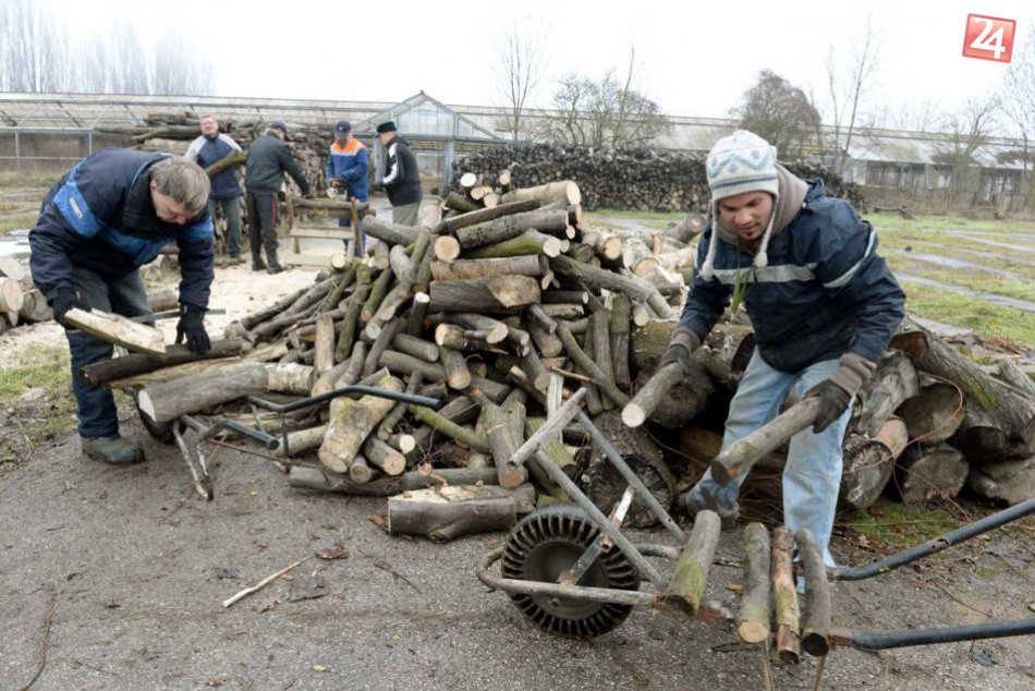 V Bernátovciach pomáhajú bezdomovcom prácou
