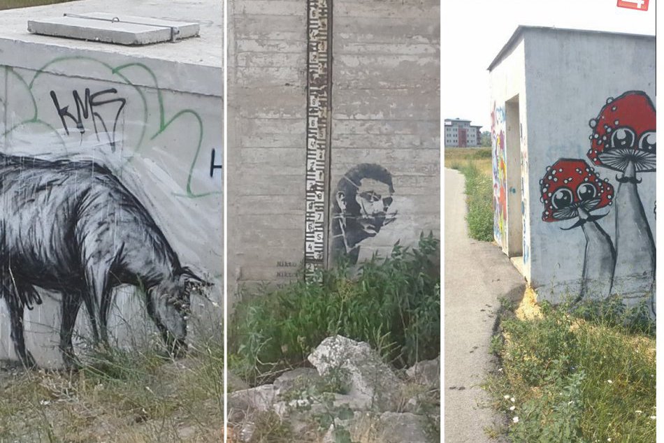 Pozrite, čo všetko sa dá vidieť počas prechádzky pri Váhu