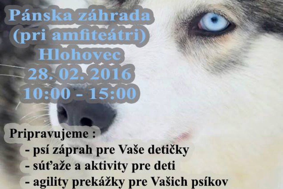 Tak toto v Hlohovci ešte nebolo: Pravý psí záprah, na ktorom sa bude dať zviezť!