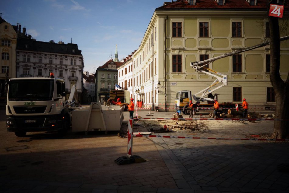 Výrub stromov na Františkánskom námestí
