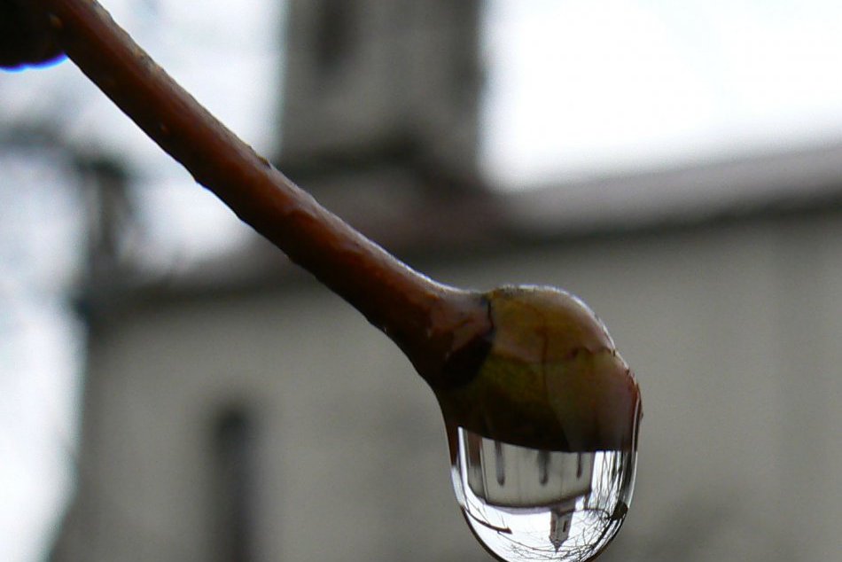 Nádhera v kvapkách vody zachytená cez hľadáčik fotoaparátu