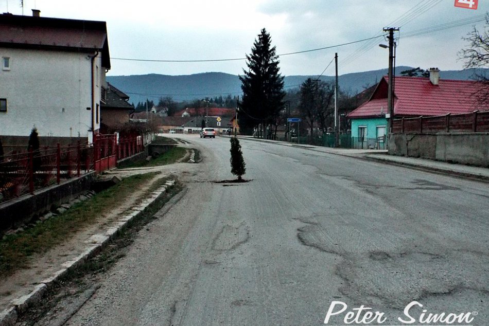 FOTO: Vodičov prekvapil strom uprostred cesty