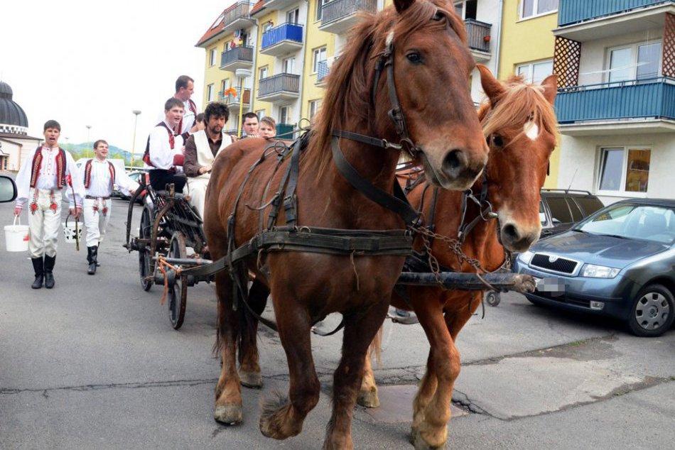 25. apríl 2011: Chlapci z FS Chemlon oblievajú svoje kolegyne zo súboru