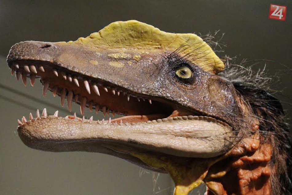 Slovenské Národné Múzeum