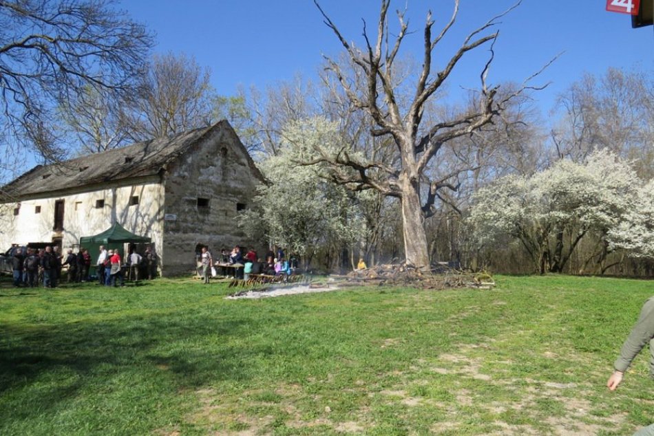 OBRAZOM: Milovníci vtákov chodia do Senného
