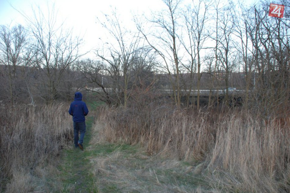 Cesta k novému cyklomost