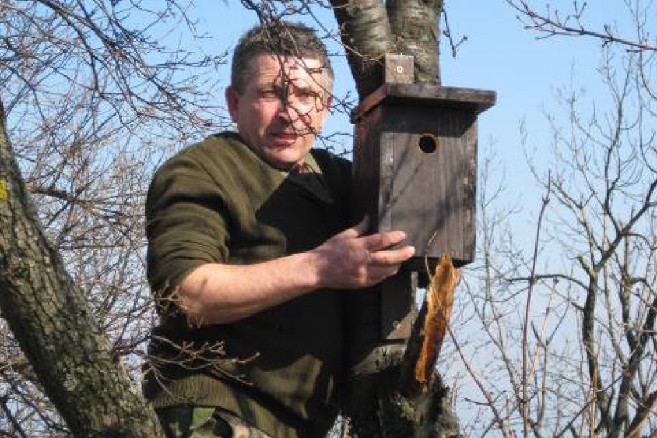 FOTO: Najvyššie položená vtáčia búdka v Nitre má svojich obyvateľov