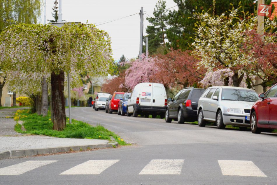 Kvitnúca alej v Banskej Bystrici