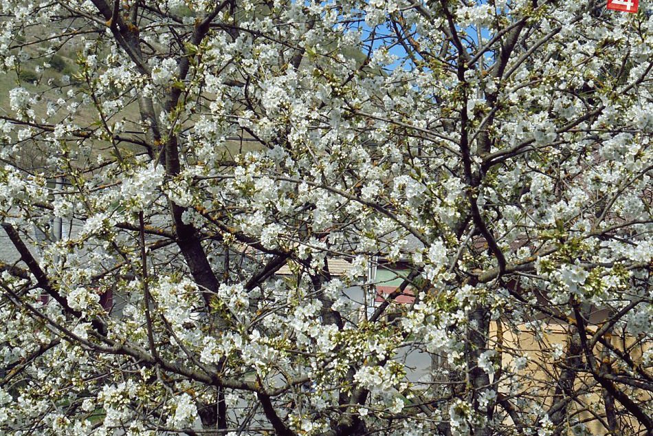 Obrazom: Ďalšie fotky jarnej Rožnavy