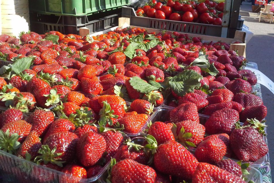 Obrazom: Farmárske trhy v Hlohovci