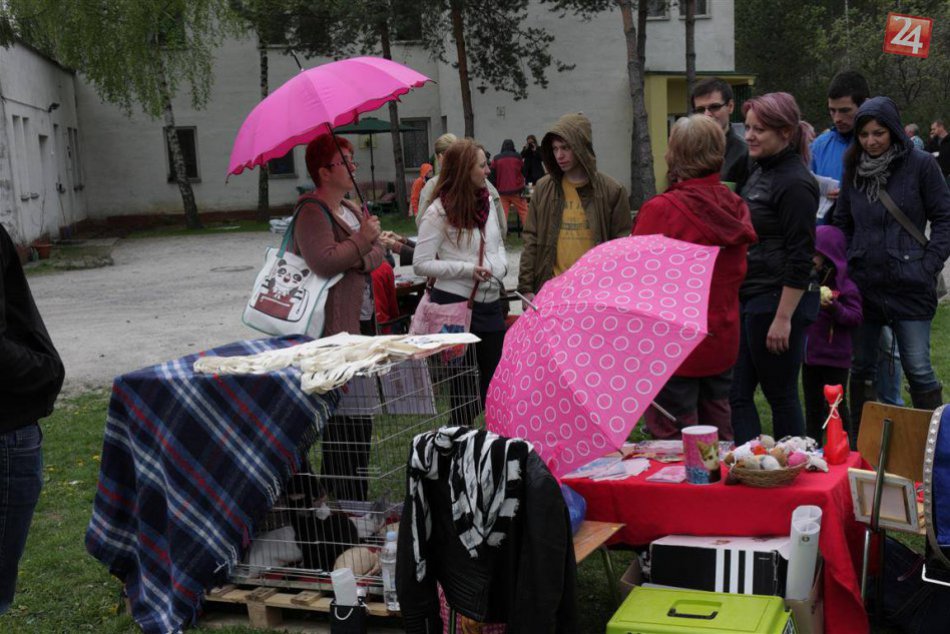 FOTO: Bystricou zneli rytmy bubnov, Zem oslavovala