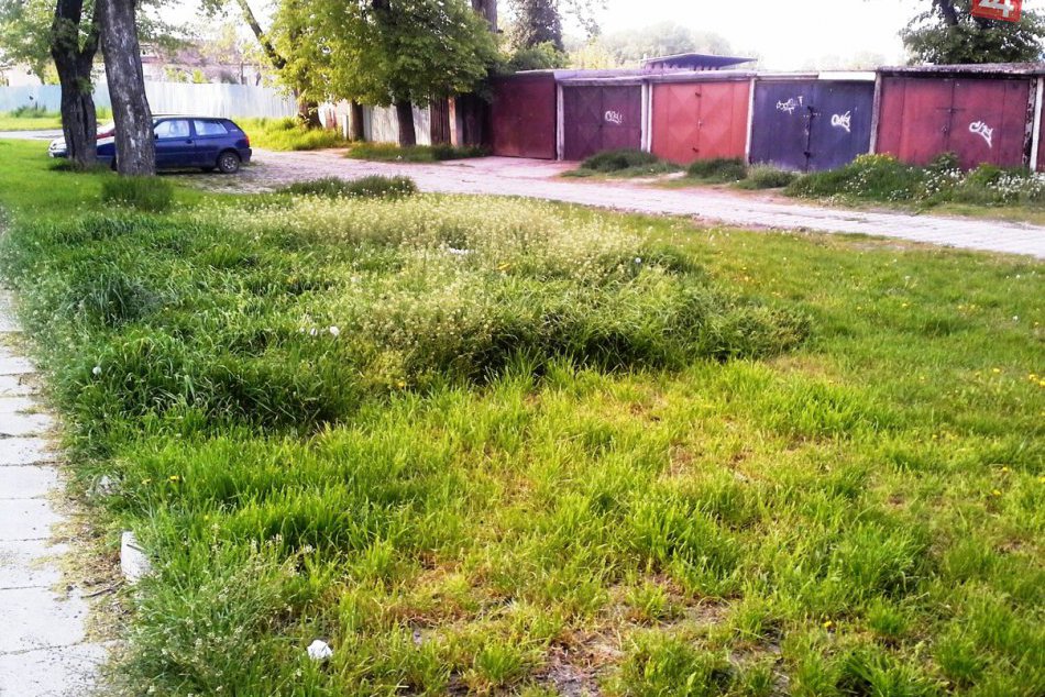 Kosenie v Hlohovci vyvolalo vášnivú debatu