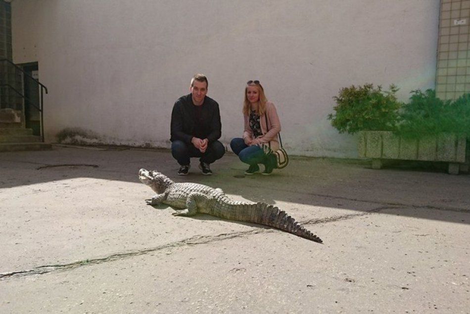 Mierumilovný predátor Richard oslavuje 17 rokov: Dotknúť sa ho je zážitok