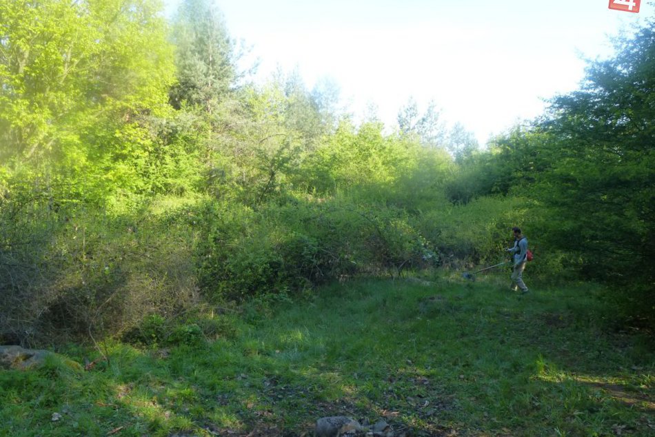 FOTO: Takto prebiehalo hromadné upratovanie vo Zvolene