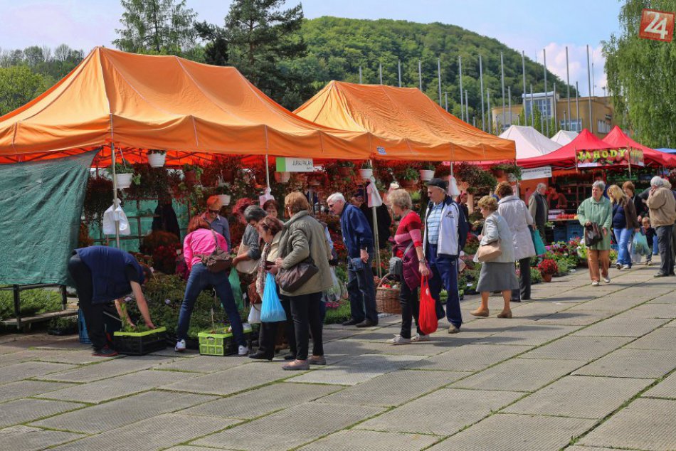 FOTO: Centrum Bystrice rozkvitlo a rozvoniava medom