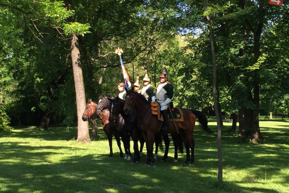 Napoleonské vojská