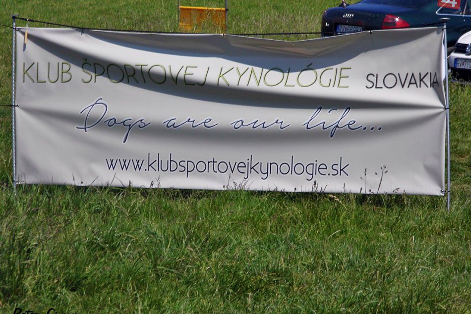 Obrazom: Deti z detského domova si prezreli ukážky športovej kynológie