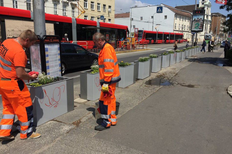 Zničené kvetináče