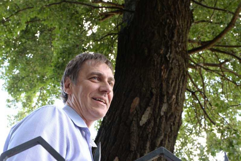 Topoľ biely v Mestskom parku