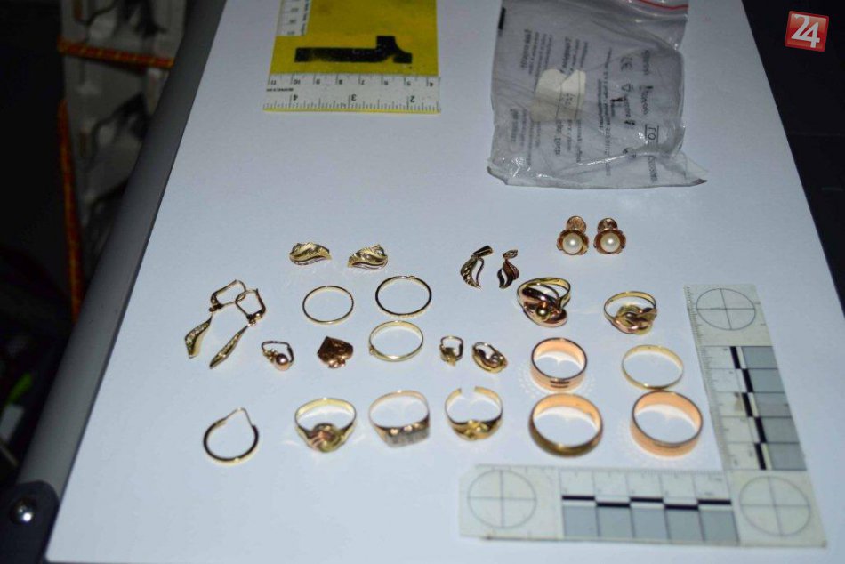 FOTO koristi lupiča z bystrického paneláku