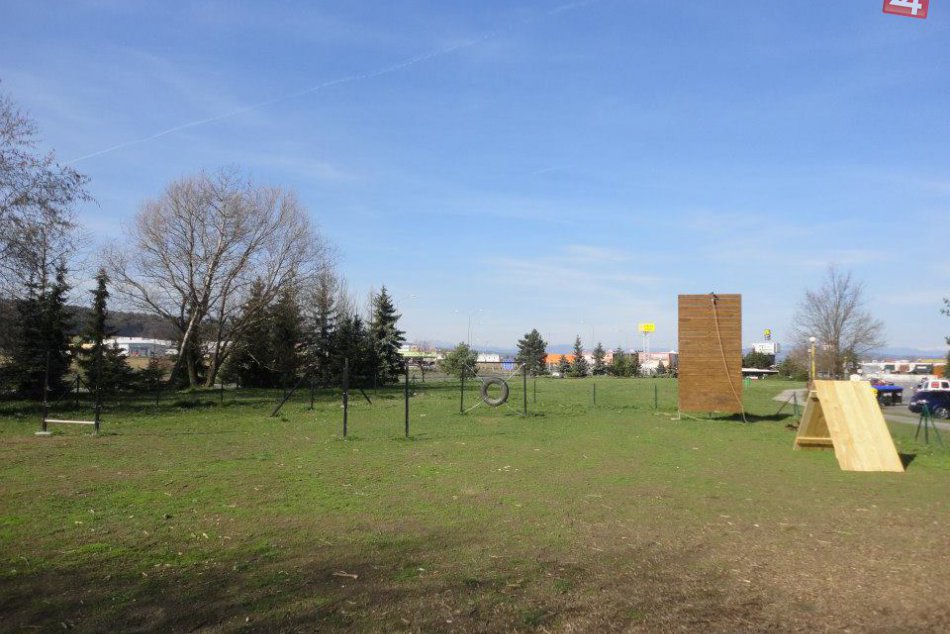 Zvolenskí psíčkari predvádzajú triky s ich štvornohými miláčikmi