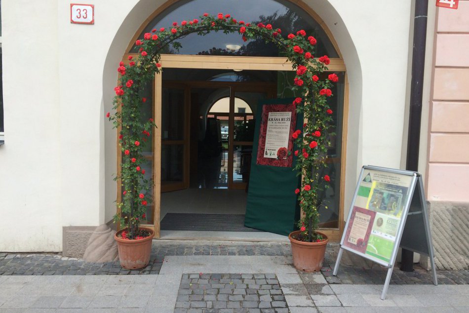 Toľko druhov ruží ste pokope nevideli