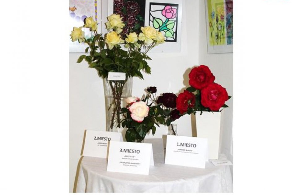 Najkrajšie ruže Arboréta Mlyňany pre rok 2016